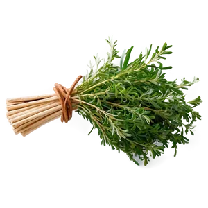 Herb Bundle Png 06272024 PNG Image