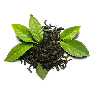 Herbal Tea Leaf Png Xna PNG Image