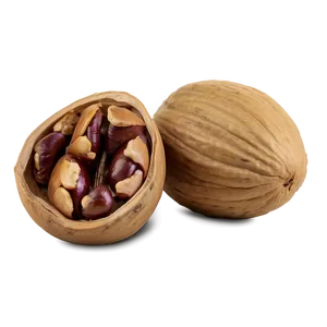 Hickory Nut Png Ixl PNG Image