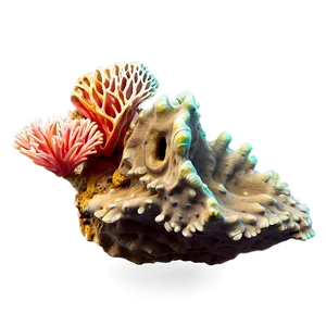 Hidden Coral Reef Treasure Png Tgu PNG Image