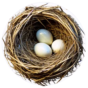 High-quality Bird Nest Png 11 PNG Image