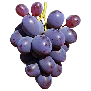 High-quality Grape Png Arg95 PNG Image