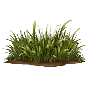 High Quality Grass Clipart Png Fvk PNG Image