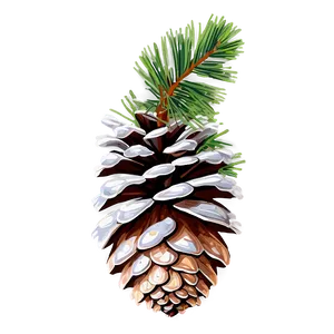 High Resolution Pine Cone Png Kso30 PNG Image