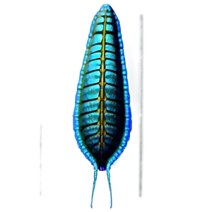 High-resolution Zooplankton Png Lai PNG Image