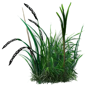 High Wild Grass Png Ldu PNG Image