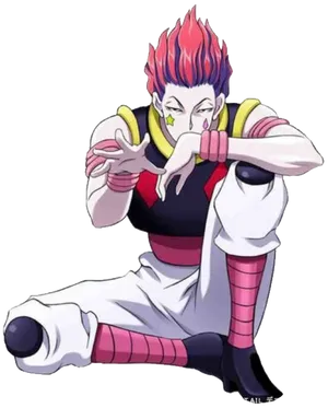 Hisoka Morow Hunterx Hunter Anime Character PNG Image