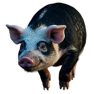 Hog Drawing Png Iej PNG Image