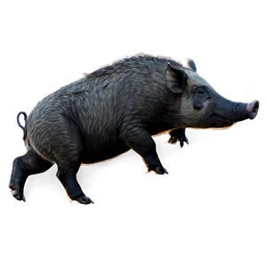 Hog Drawing Png Sni90 PNG Image