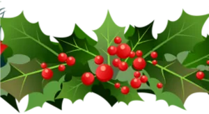 Holly Berries Garland Illustration PNG Image