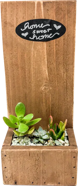 Home Sweet Home Succulent Planter PNG Image