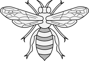 Honey Bee Illustration PNG Image