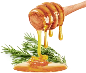 Honey Drippingon Rosemary Sprig PNG Image