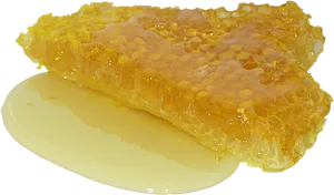 Honeycombwith Dripping Honey PNG Image