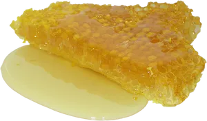 Honeycombwith Honey Dripping.png PNG Image