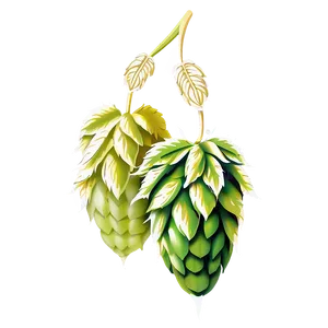 Hops And Barley Png 06292024 PNG Image