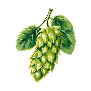 Hops Bundle Clipart Png 06292024 PNG Image