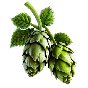 Hops Bundle Clipart Png Ois PNG Image