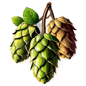 Hops Bundle Clipart Png Upi92 PNG Image