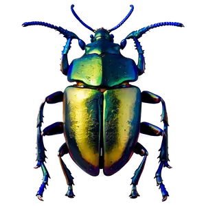 Horn Beetle Png Amo PNG Image