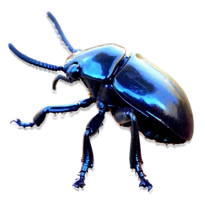 Horn Beetle Png Pvq PNG Image