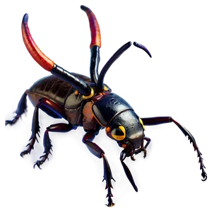 Horn Beetle Png Pvx28 PNG Image