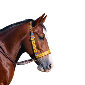 Horse And Rider Bond Png 06292024 PNG Image