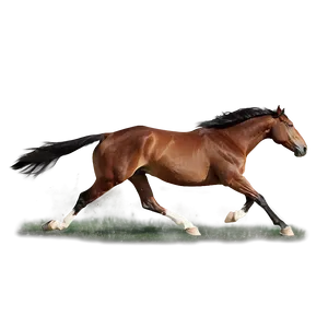 Horse Chase Dynamic Png 78 PNG Image