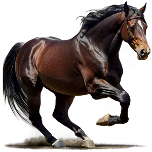 Horse Chase Dynamic Png Tte58 PNG Image