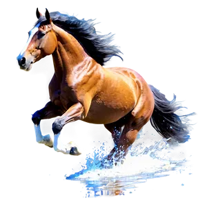 Horse Galloping On Beach Png Hhp PNG Image