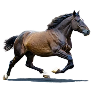 Horse Galloping On Beach Png Khc26 PNG Image