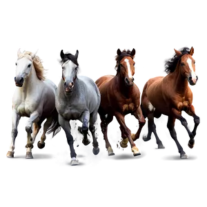 Horse Herd Running Free Png Fbc PNG Image