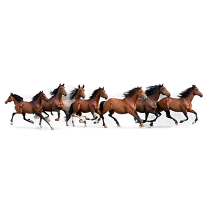 Horse Herd Running Free Png Tsl PNG Image