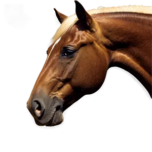 Horse Images C PNG Image