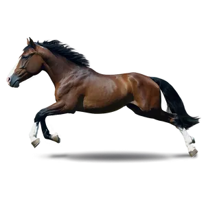 Horse Power In Action Png 77 PNG Image