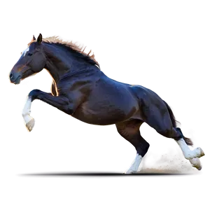 Horse Sprinting Full Speed Png Pxe PNG Image