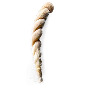 Horse Tail Png 06242024 PNG Image