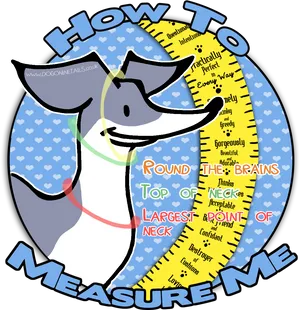 Howto Measure Dog Sizeand Qualities Infographic PNG Image