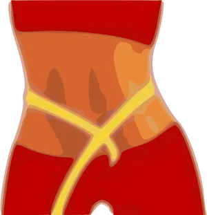 Human Abdominal Anatomy Illustration PNG Image