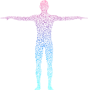 Human Body Cellular Structure Illustration PNG Image