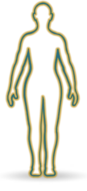 Human Body Outline Illustration PNG Image