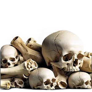 Human Bones Pile Art Png 40 PNG Image