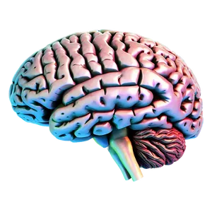 Human Brain And Neuroscience Png Fgi PNG Image