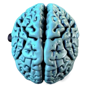 Human Brain Electrical Activity Png 52 PNG Image