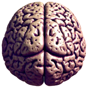 Human Brain Language Areas Png Ovy41 PNG Image