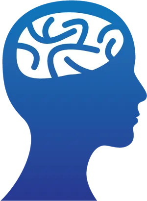 Human Brain Silhouette PNG Image