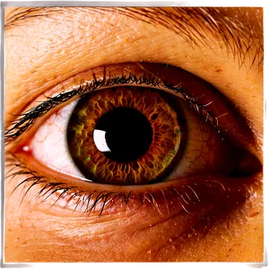 Human Eye Close-up Png Mul PNG Image