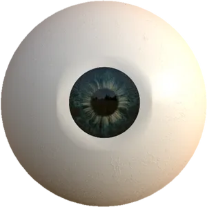 Human Eye Closeup PNG Image