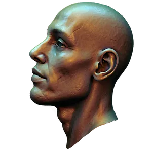 Human Head A PNG Image