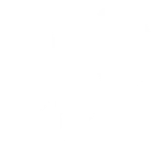 Human Kidney Silhouette Graphic PNG Image